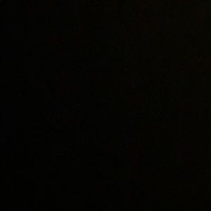 Meet your Posher, Rhiannon